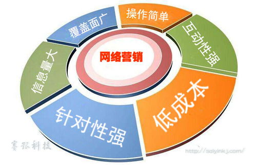 賽銀科技 網(wǎng)絡(luò)營(yíng)銷現(xiàn)狀及未來發(fā)展趨勢(shì)